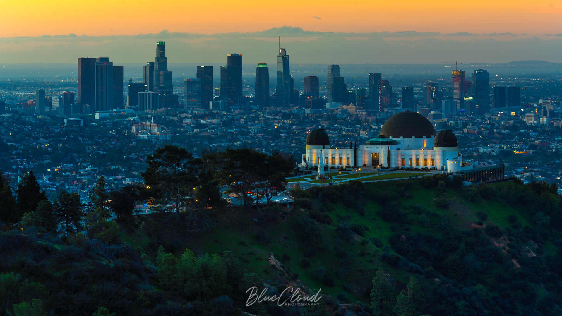 Griffith Park - by Matthew Partsch