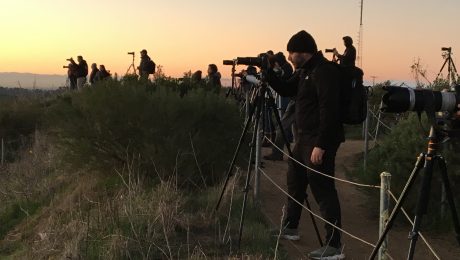 Baldwin hills scenic overlook 3