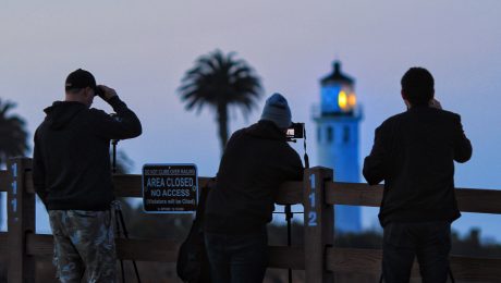 Point Vicente Lighthouse by @lovedrumming